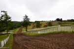 DSC_8762.jpg